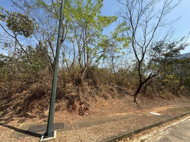 Mini finca para Venta en Valencia - 4