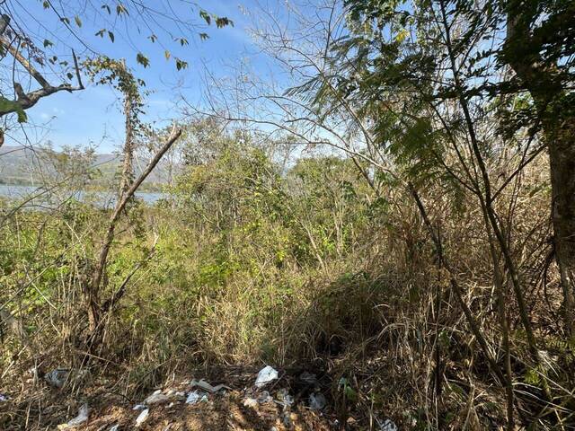 Mini finca para Venta en Valencia - 5