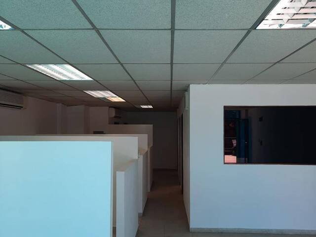 #281250 - Local / Casa Comercial para Alquiler en Valencia - G - 2