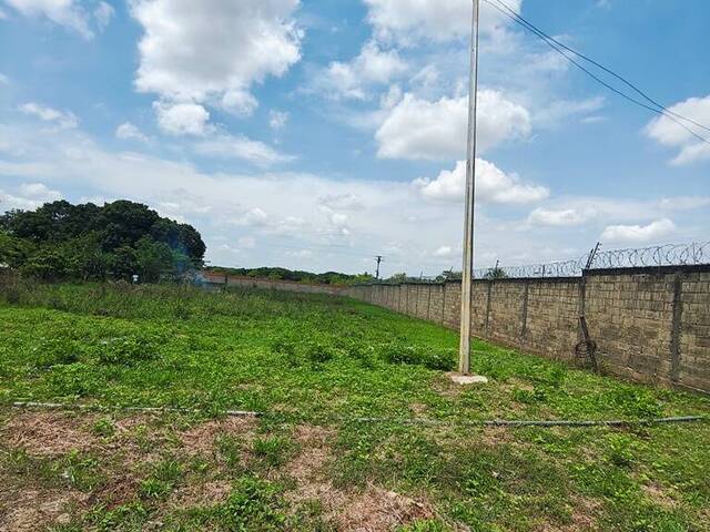 #281196 - Hacienda / Finca / Granja para Venta en Valencia - G - 2