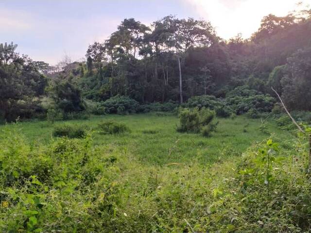 #282947 - Hacienda / Finca / Granja para Venta en Valencia - G - 3