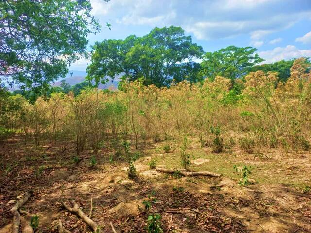#282510 - mini finca para Venta en Montalbán - G - 3
