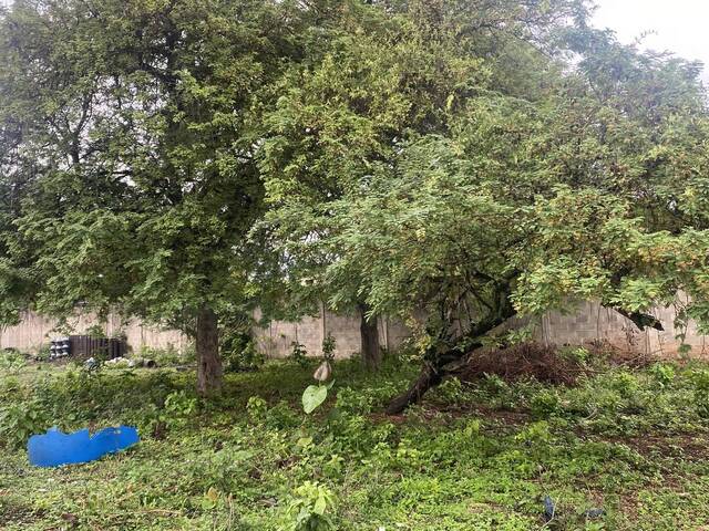 #26034 - Terreno para Venta en Guacara - G