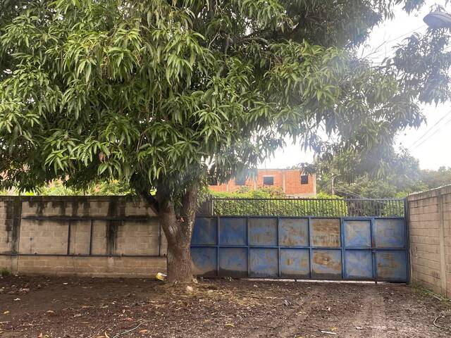 #26034 - Terreno para Venta en Guacara - G