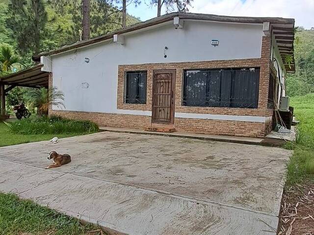#283205 - Hacienda / Finca / Granja para Venta en Montalbán - G