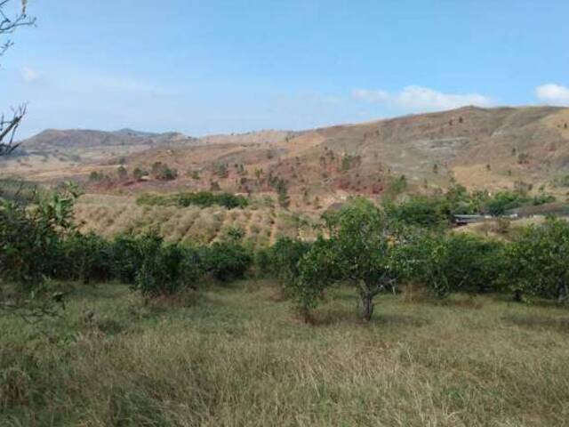 #26057 - Hacienda / Finca / Granja para Venta en Valencia - G - 3