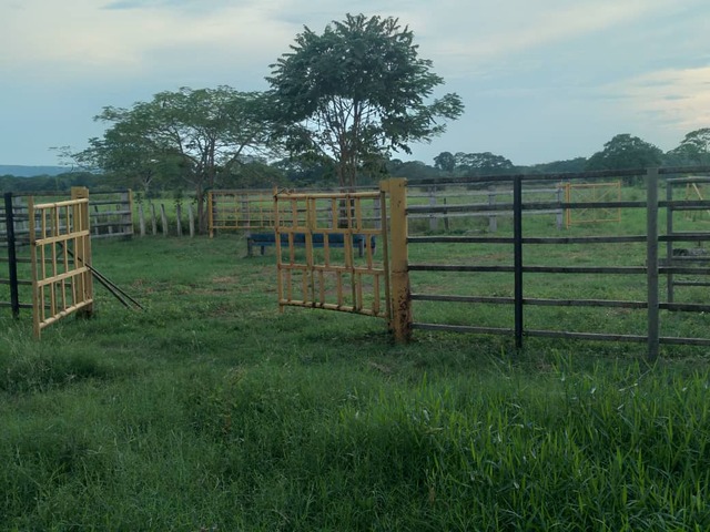 #26139 - Terreno para Venta en Cojedes - H - 3