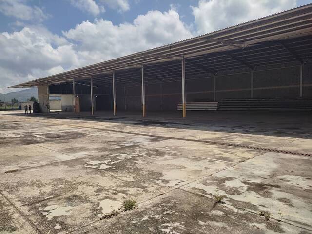 #285365 - Galpón para Venta en Valencia - G - 3