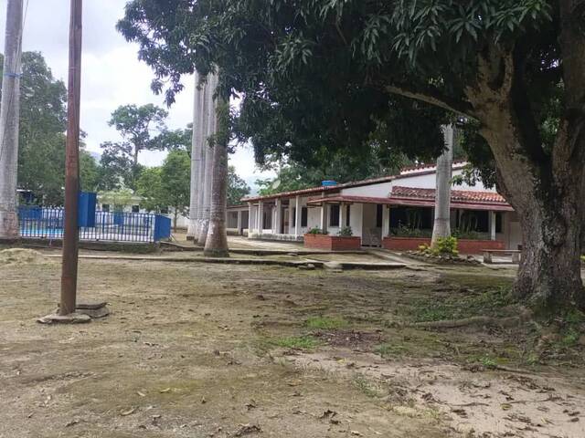 #285366 - Hacienda / Finca / Granja para Venta en Bejuma - G - 3