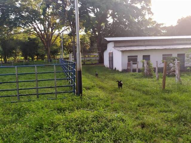 #285556 - Hacienda / Finca / Granja para Venta en Valencia - G