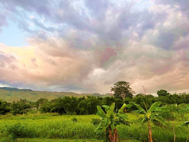 #285636 - mini finca para Venta en Bejuma - G