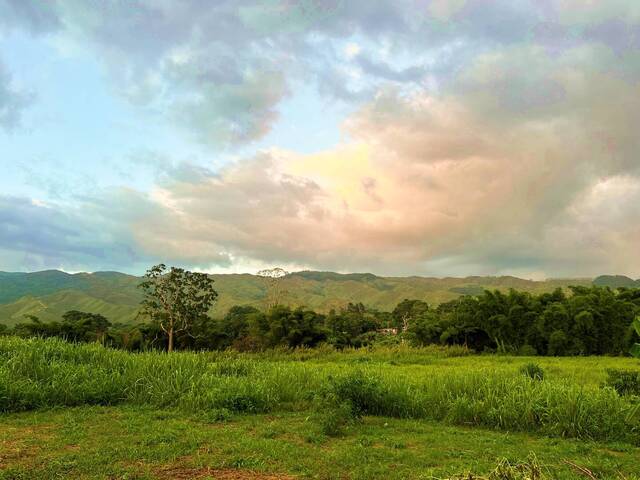 Mini finca para Venta en Bejuma - 4