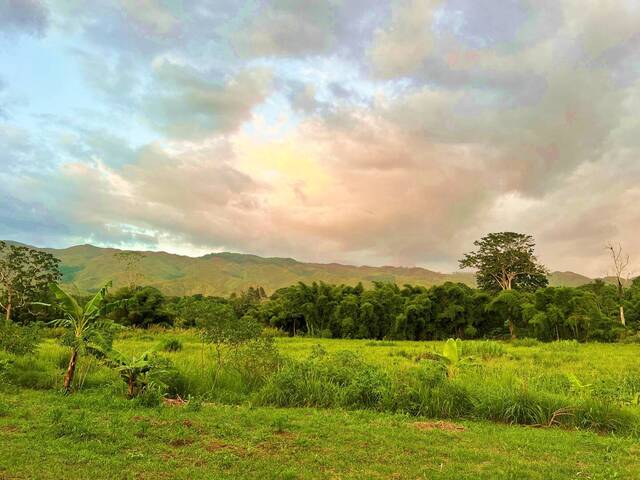 Mini finca para Venta en Bejuma - 5
