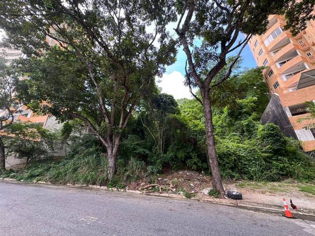 #287738 - Terreno para Venta en Valencia - G - 2