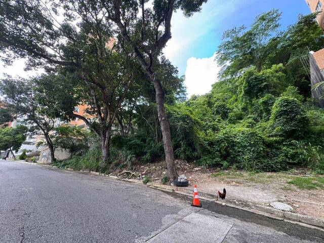 #287738 - Terreno para Venta en Valencia - G - 3