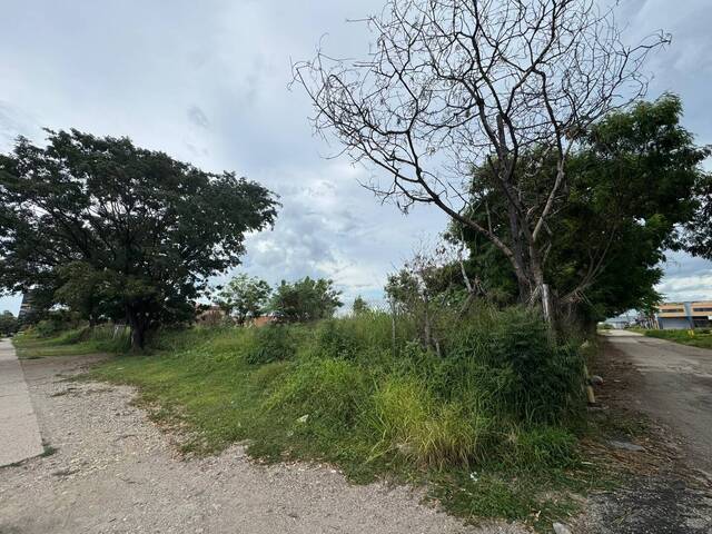#287740 - Terreno para Venta en Valencia - G - 2