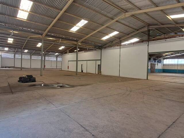 #288215 - Galpón para Venta en Valencia - G - 3