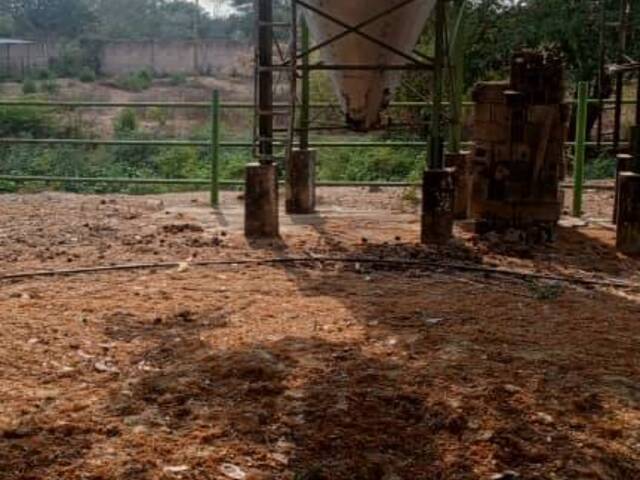 #288735 - Hacienda / Finca / Granja para Venta en Tocuyito - G - 3