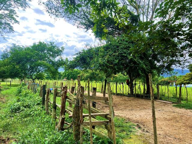 #288901 - mini finca para Venta en Montalbán - G - 3
