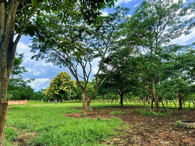 Mini finca para Venta en Montalbán - 4
