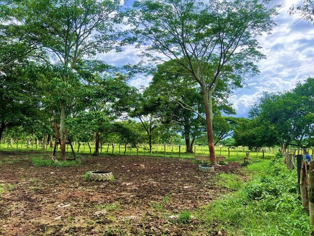 Mini finca para Venta en Montalbán - 5