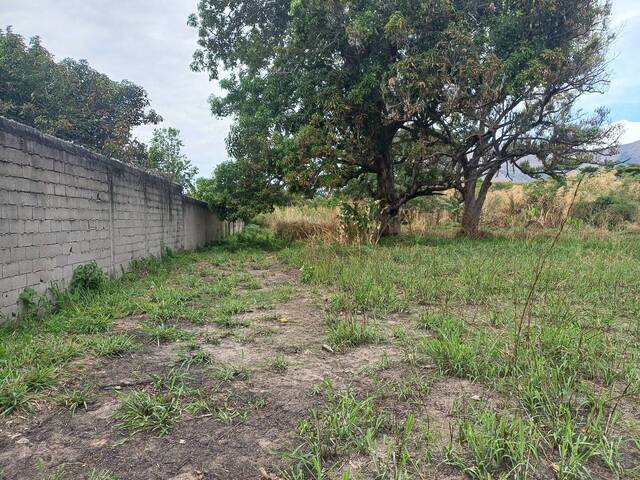 #289638 - Terreno para Venta en San Diego - G - 2