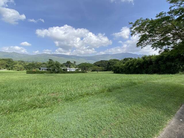 Venta en Hato Royal - Valencia