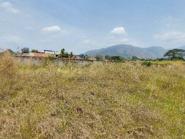 #290106 - Terreno para Venta en San Diego - G - 3
