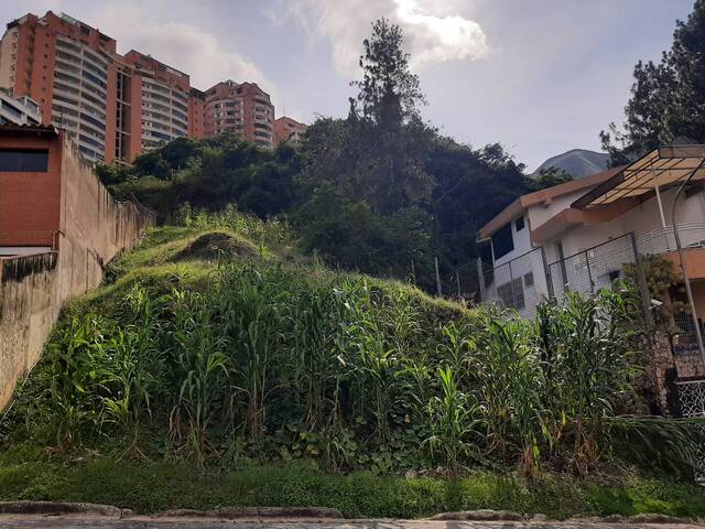 #26882 - Terreno para Venta en Valencia - G - 3