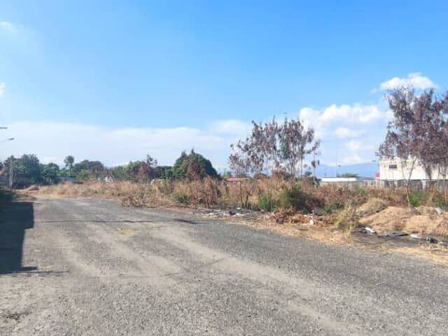 Terreno para Venta en Valencia - 5
