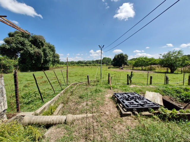 #291116 - mini finca para Venta en Libertador - G - 3