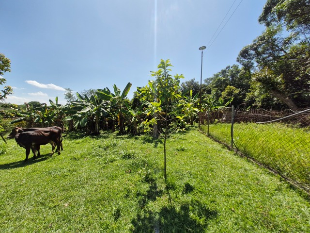 Mini finca para Venta en Libertador - 5