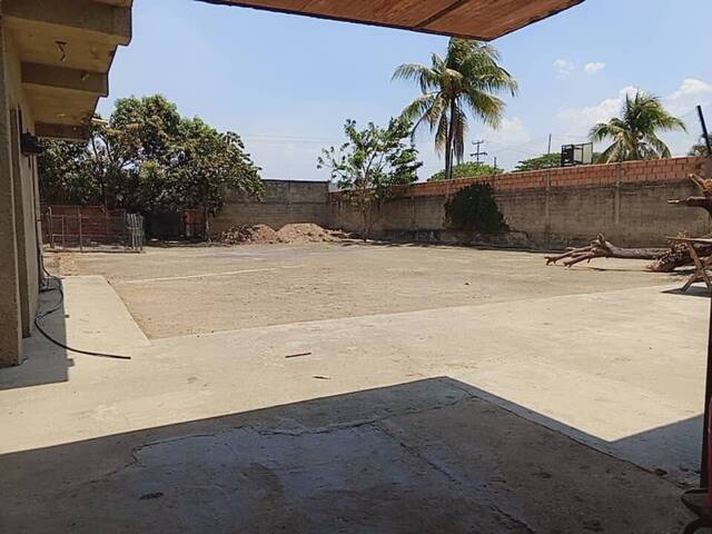 #291240 - mini finca para Venta en Valencia - G - 3
