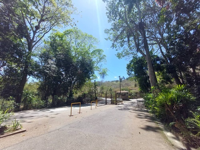 Terreno para Venta en Naguanagua - 4
