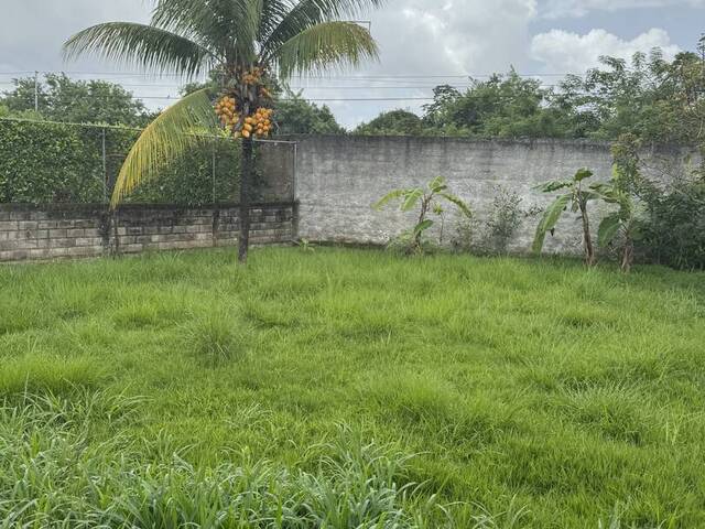 #27137 - Casa para Venta en Valencia - G - 3