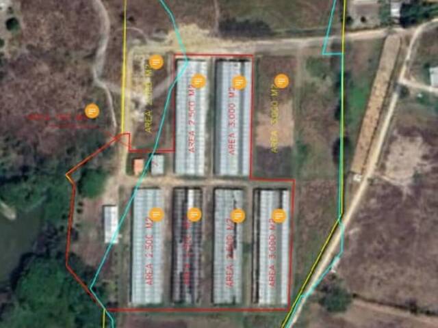 #295770 - mini finca para Venta en Valencia - G - 2