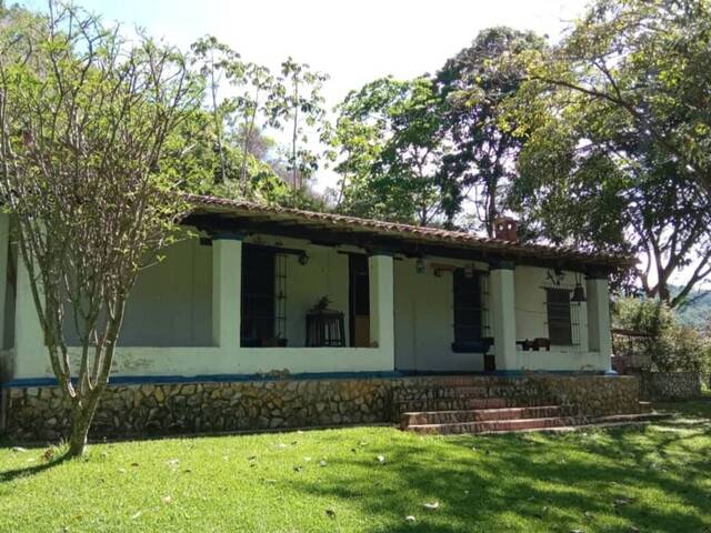 #295770 - mini finca para Venta en Valencia - G - 3