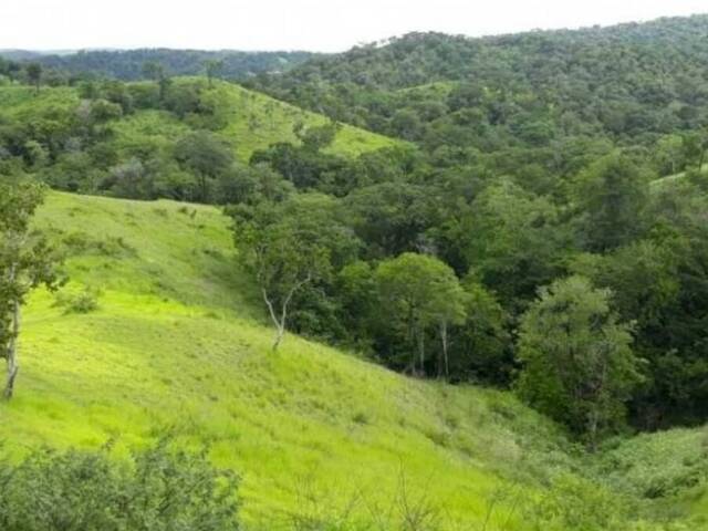 #296463 - mini finca para Venta en Valencia - G - 3