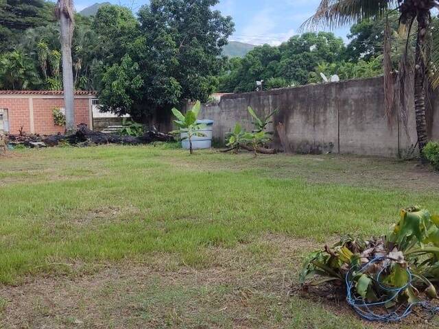 #295558 - mini finca para Venta en Valencia - G - 2