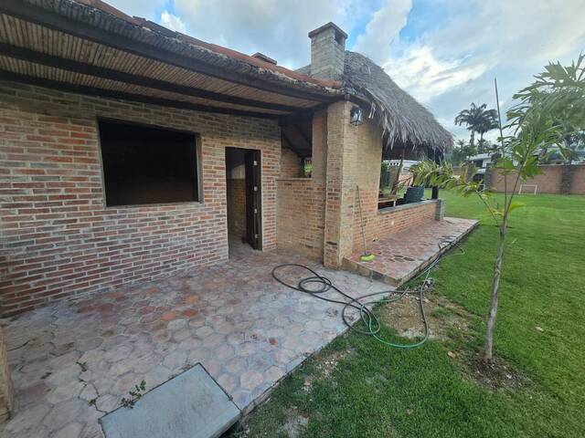 #295050 - mini finca para Venta en Valencia - G - 3