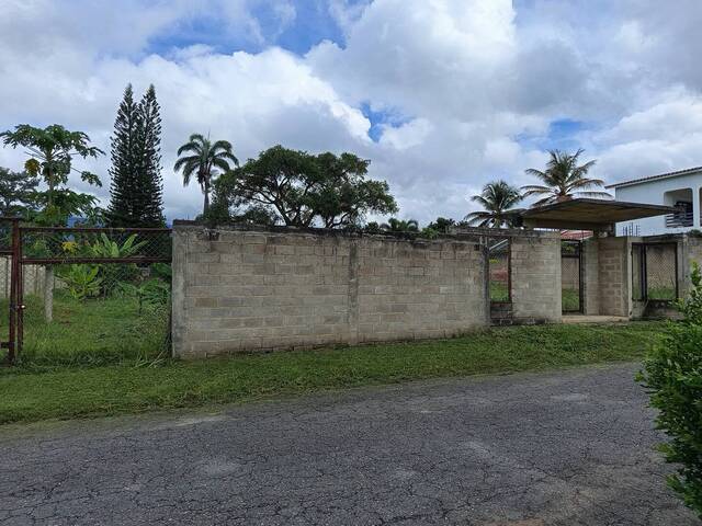 #294703 - Terreno para Venta en Valencia - G - 1