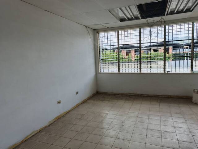 Galpón para Venta en San Diego - 4