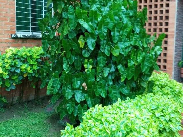 #298938 - Apartamento para Alquiler en San Diego - G