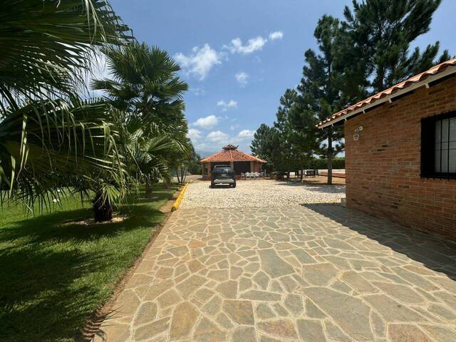 Venta en Safari Carabobo - Valencia