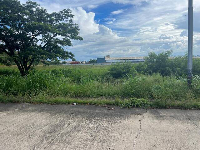 #291505 - Terreno para Venta en Valencia - G