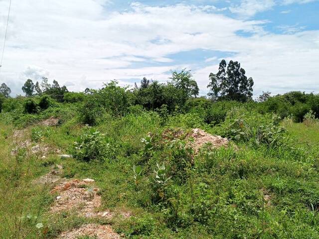 #300828 - mini finca para Venta en Valencia - G - 3