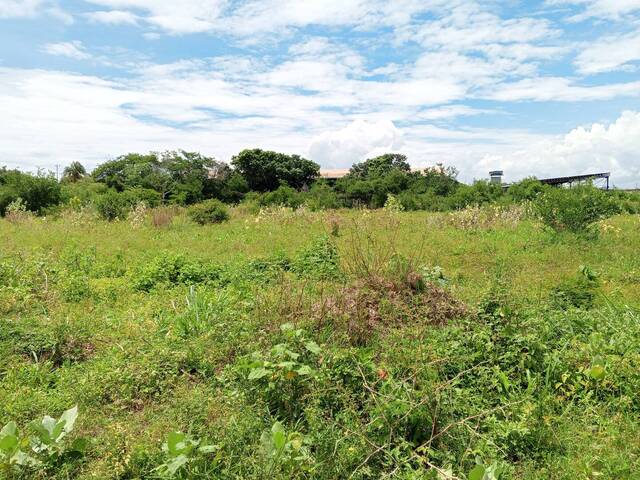 #300828 - mini finca para Venta en Valencia - G - 2