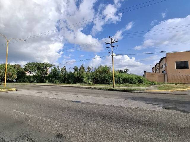 #299067 - Terreno para Venta en Valencia - G