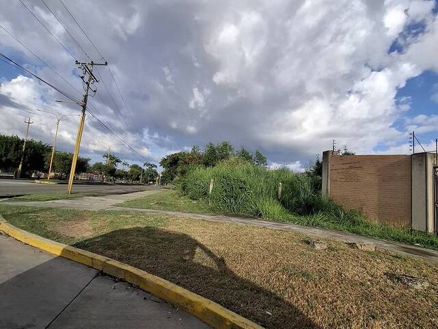 #299067 - Terreno para Venta en Valencia - G