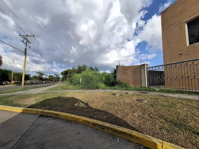 Terreno para Venta en Valencia - 4